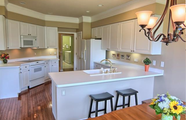 Maple Ridge Creek Village Rochester MI Homes for sale 